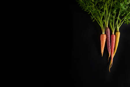 Color carrot with leaves at organic shop.の写真素材