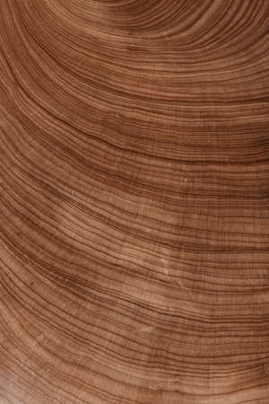 Texture of wooden background closeup photo.