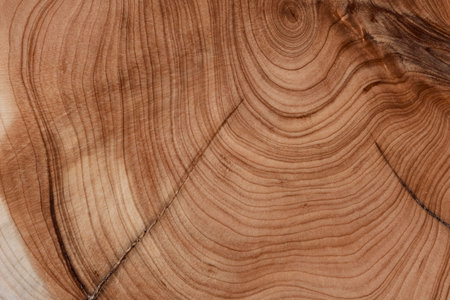 Wooden texture. Wood pattern for design and decoration.