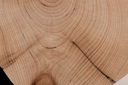 Wooden texture. Wood pattern for design and decoration.の写真素材
