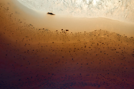 Close up shot of yellow Mineral stone photo, background, design element. studio shot.の写真素材