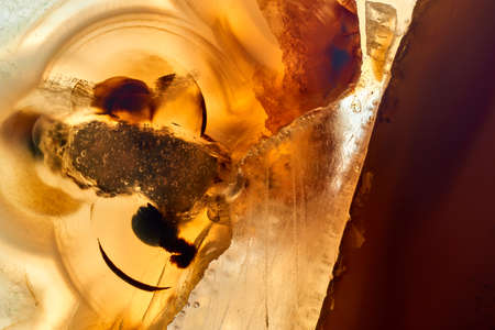 Macro photography of yellow Crystal, suitable for design element.の写真素材