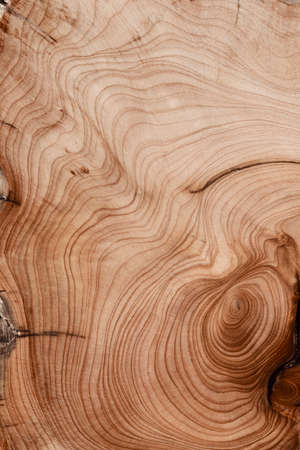 Hard wood texture background surface with old abstract pattern.