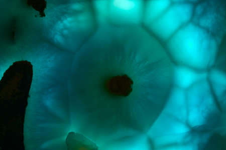 Abstract raw Larimar mineral crystal texture material of Gem.