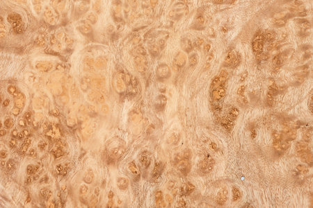 Clear expressive unique nature pattern.の写真素材