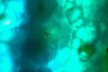 Luxury Larimar raw mineral crystal background of texture material.
