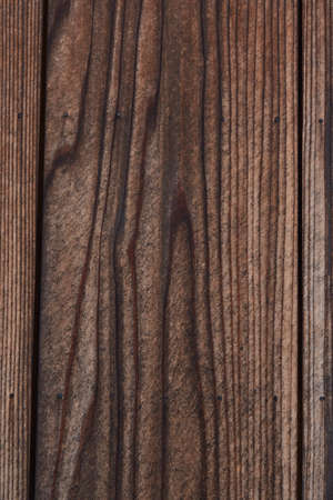 A fragment of a hardwood.