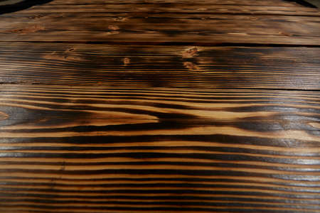 A fragment of a hardwood.の写真素材