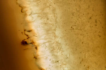 Close up shot of yellow Mineral stone photo, background, design element. studio shot.
