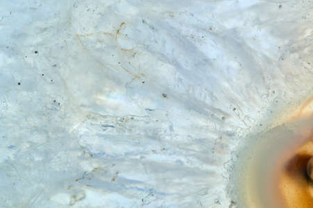 White Marble texture background, studio shot.の写真素材
