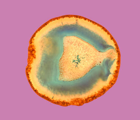 Natural translucent agate surface, Abstract structure slice mineral crystal stone macro shotting.