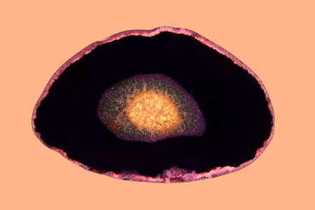 Texture pattern on marble of stone surface of agate slice.の写真素材