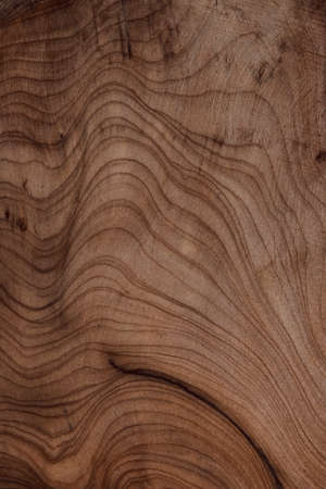 Texture background surface with old natural pattern.の写真素材