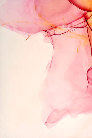 Gradient background texture is blurred, studio shot.の写真素材