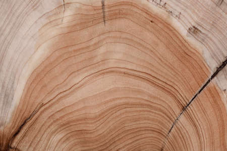 Surface eroded by time. Brown wood background.