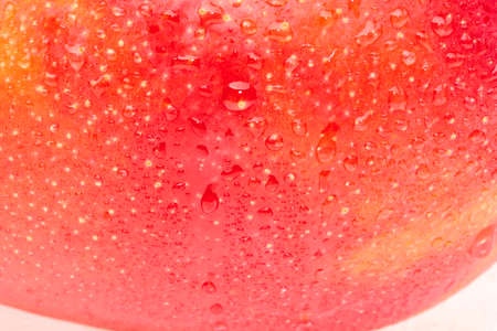 Detail shooting with ripe mango.の写真素材