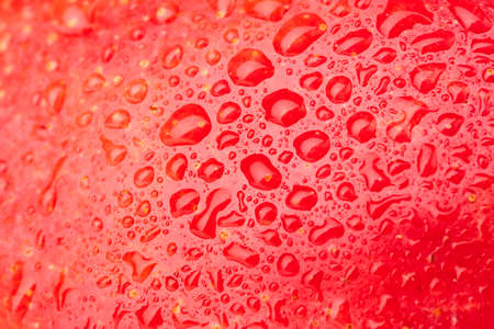 Detail shooting with ripe mango.の写真素材