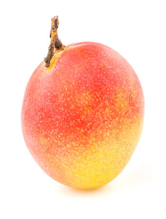 Mango isolated on white background. Fruit, studio shot.の写真素材