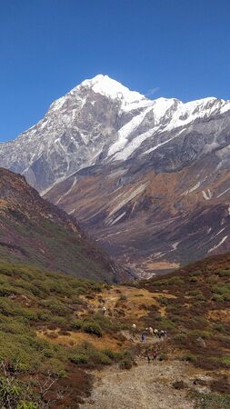 Trekking in the valley amidst mountain ranges