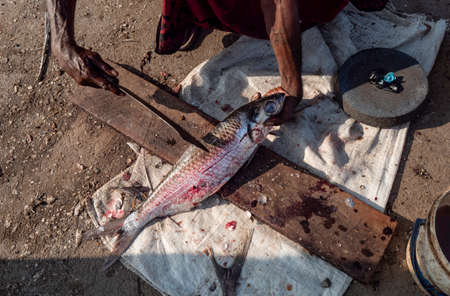 Close up of dried fish in Sri Lanka