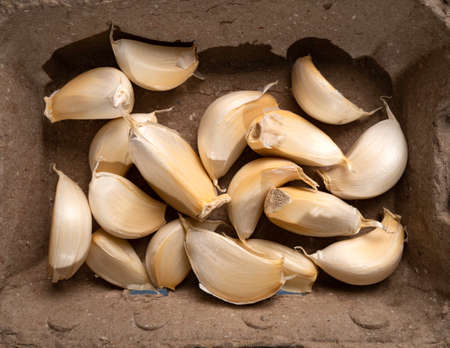 Close up of fresh garlic on tableの写真素材