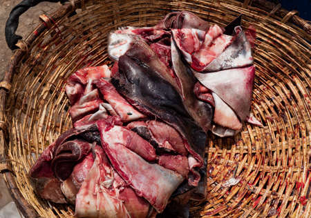 Close up of dry fish in Sri Lankaの写真素材