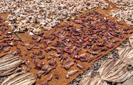 Close up of dry fish in Sri Lankaの写真素材