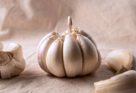 Close up of fresh garlic on tableの写真素材