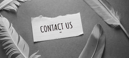 Words with contact us Business Concept ideaの写真素材