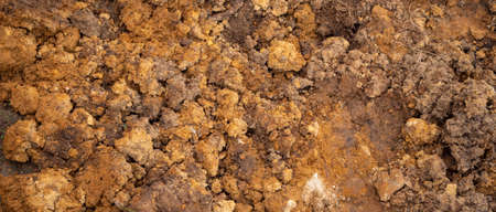 Close up of soil texture background