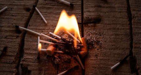 Closeup of discarded cigarette butts with ashの写真素材