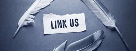 LINKUS text on torn paper with feathers on blue background.