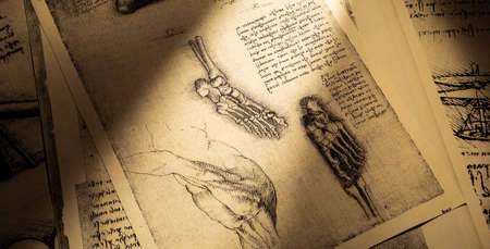 Kandy, Sri Lanka - 17 February 2021: 14th century anatomy art by Leonardo Da Vinci in Kandy medical exhibitionのeditorial素材
