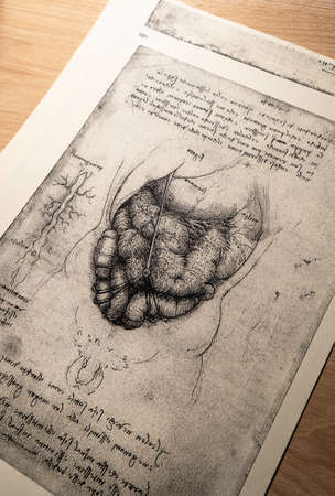 Kandy, Sri Lanka - 17 February 2021: 14th century anatomy art by Leonardo Da Vinci in Kandy medical exhibitionのeditorial素材