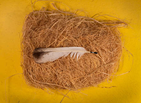 A bird's feather lies in a nest made of straw on a yellow backgroundの写真素材