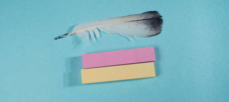 Pink and yellow sticky notes with a feather on a blue background.