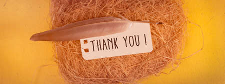Close up of Thank You Word , Thanks Concept Ideaの写真素材
