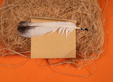 Vintage feather pen in a straw nest on an orange background.の写真素材