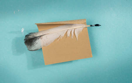 A quill pen lies on a brown envelope on a blue backgroundの写真素材