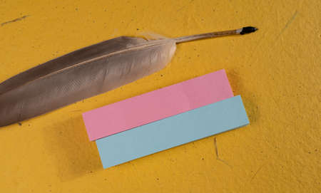 Empty space note papers for copy space your own words