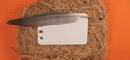 Blank card with feather on straw, top view. Space for textの写真素材