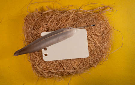 Feather pen and card on a straw nest on a yellow backgroundの写真素材