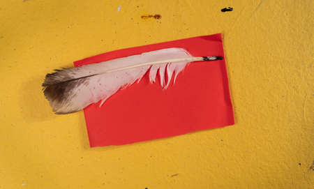 feather of a bird on a red sheet of paper on a yellow backgroundの写真素材