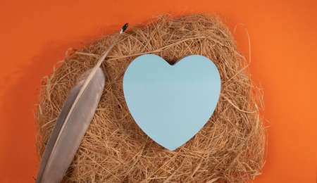 blue heart on a straw nest with a quill on an orange backgroundの写真素材