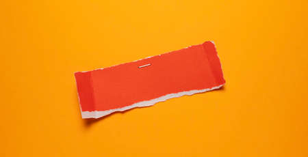 Empty space Paper Tag for copy space your own wordsの写真素材