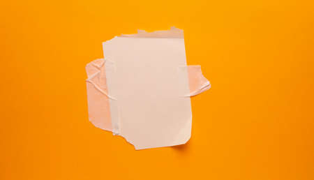 Empty space Paper Tag for copy space your own wordsの写真素材