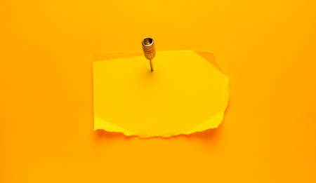 Empty space Paper Tag for copy space your own wordsの写真素材