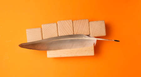 Quill and wooden blocks on orange background, top view. Space for textの写真素材