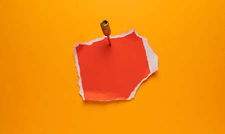 Empty space Paper Tag for copy space your own wordsの写真素材