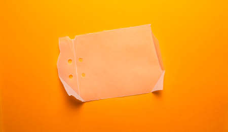 Empty space Paper Tag for copy space your own wordsの写真素材
